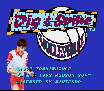 Dig & Spike Volleyball (USA) screen shot title